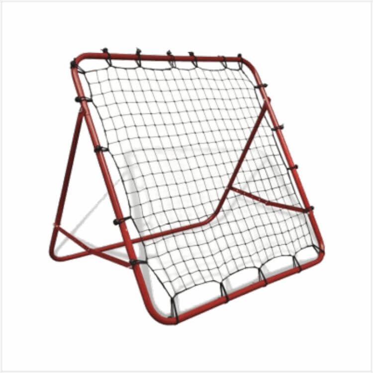 Cricket Training